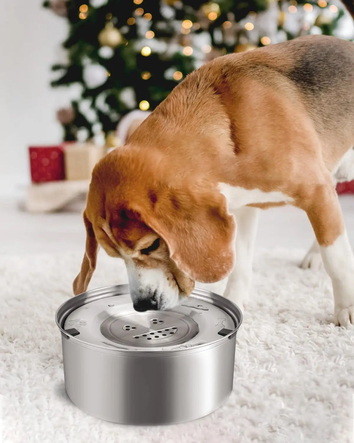 3L Stainless Steel No Spill Water Bowl for Dogs Non-Slip Slow Dog Bowl Water Feeder Dispenser for Medium Large Dogs