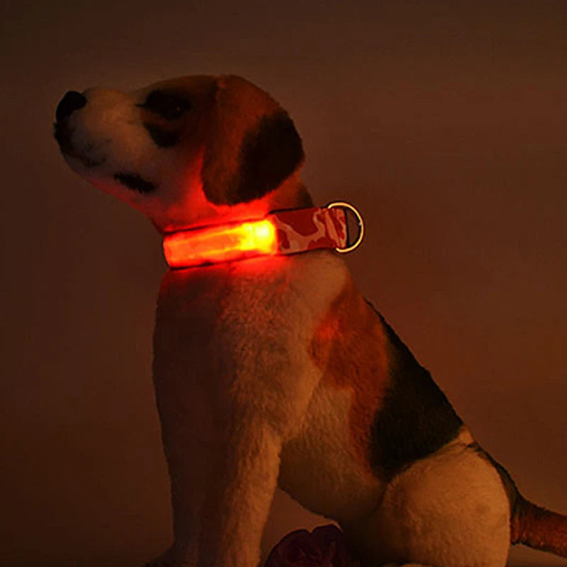 Dog Collar Light Luminous Flashing Glowing Bright Nylon Reflective LED